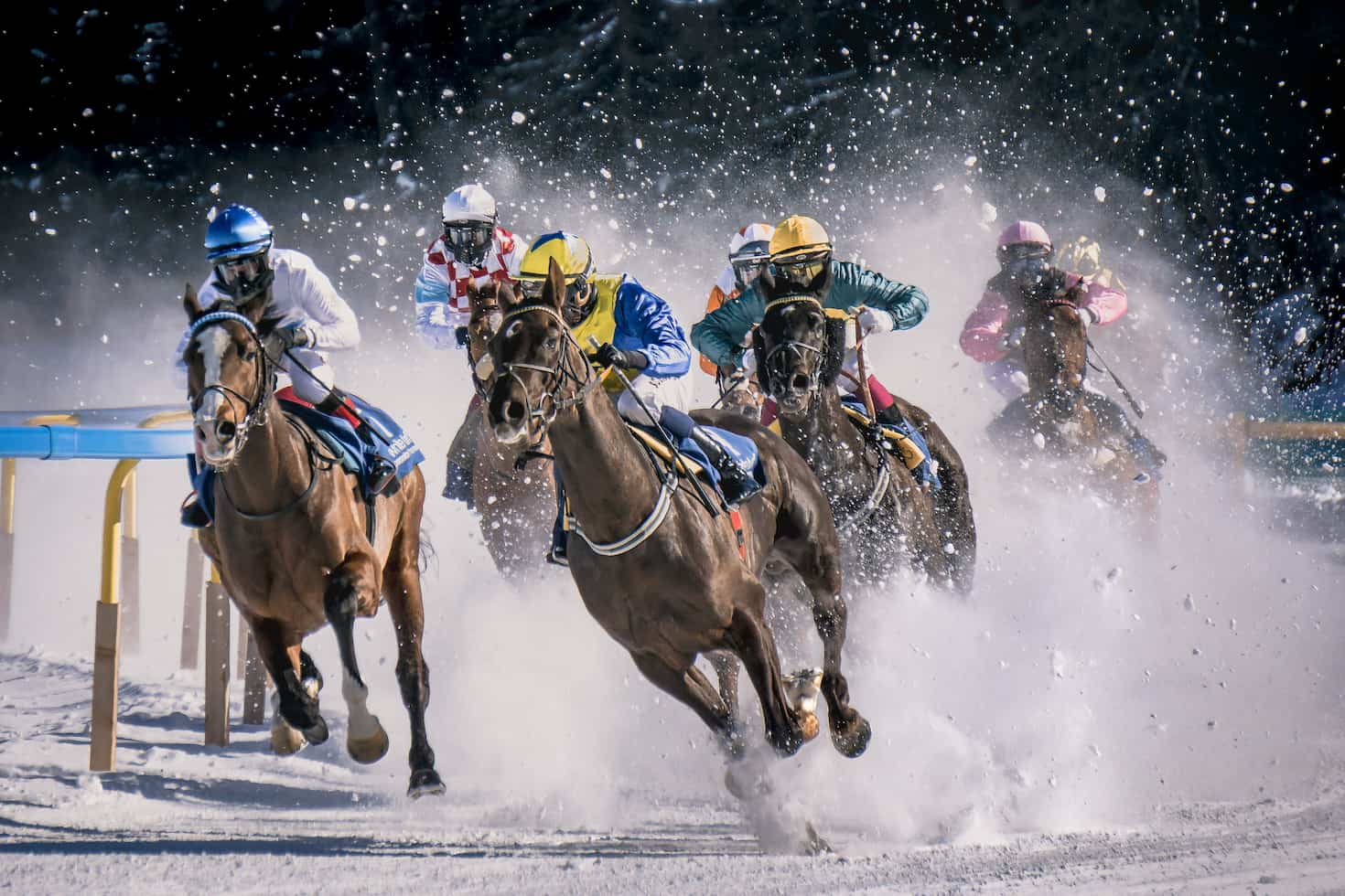 Betting on Virtual Horse Racing Bots